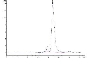 Size-exclusion chromatography-High Pressure Liquid Chromatography (SEC-HPLC) image for Platelet Factor 4 (PF4) (AA 30-105) protein (Fc Tag) (ABIN7274452)