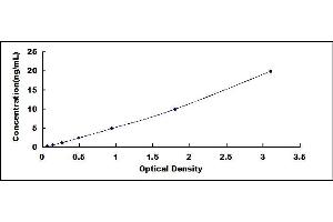 Typical standard curve (A1BG ELISA 试剂盒)