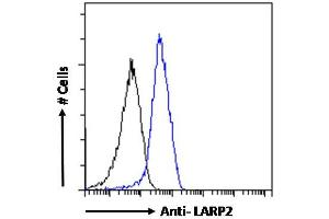 ABIN190867 Flow cytometric analysis of paraformaldehyde fixed HepG2 cells (blue line), permeabilized with 0. (LARP1B 抗体  (Internal Region))