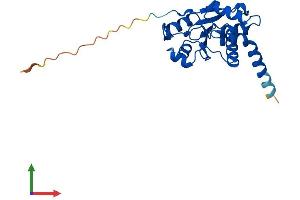 Protein Structure (PS) image for Cyclin-Dependent Kinase Inhibitor 3 (CDKN3) (AA 1-211) protein (His tag) (ABIN7558477)