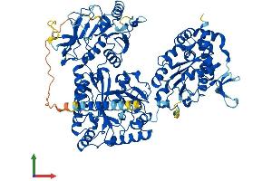Protein Structure (PS) image for N-Deacetylase/N-Sulfotransferase (Heparan Glucosaminyl) 4 (NDST4) (AA 1-872) protein (His tag) (ABIN7565040)