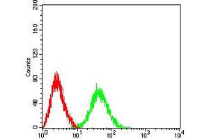 Flow Cytometry (FACS) image for anti-B-Cell CLL/lymphoma 11B (Zinc Finger Protein) (BCL11B) (AA 1-150) antibody (ABIN5611300)