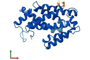 AlphaFold protein structure predicition of Human Recombinant CPTP Protein, UniprotID Q5TA50