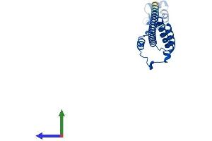 Protein Structure (PS) image for Ribosomal Protein L19 (RPL19) (AA 1-196) protein (His tag) (ABIN7556760)