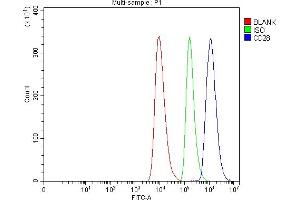 Flow Cytometry analysis of HEL cells using anti-CD28 antibody (ABIN7600101).