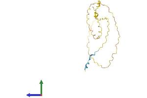 Protein Structure (PS) image for Variable Charge, X-Linked 3A (VCX3A) (AA 1-186) protein (His tag) (ABIN7545082)