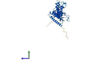Protein Structure (PS) image for FK506 Binding Protein 6, 36kDa (FKBP6) (AA 1-327) protein (His tag) (ABIN7560096)
