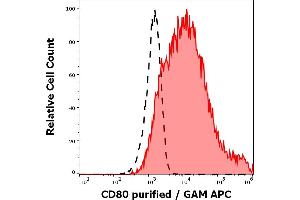 Separation of CD80 transfected P815 cells stained using anti-human CD80 (MEM-233) purified antibody (concentration in sample 1.