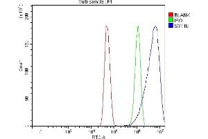 Flow Cytometry analysis of U251 cells using anti-SYT16 antibody (ABIN7599425). (SYT16 抗体  (AA 1-474))