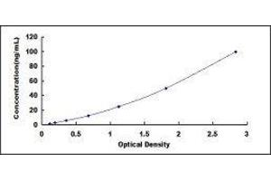 ELISA image for Cytochrome P450, Family 7, Subfamily A, Polypeptide 1 (CYP7A1) ELISA Kit (ABIN431900)