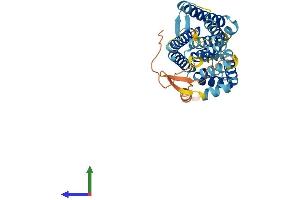 AlphaFold protein structure predicition of Human Recombinant GPR160 Protein, UniprotID Q9UJ42
