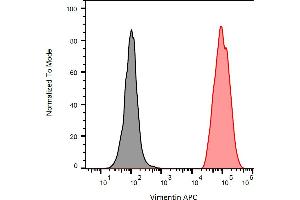 Separation of ESS-1 cells stained using anti-Vimentin (VI-RE/1) APC antibody (concentration in sample 1 μg/mL, red) from unstained ESS-1 cells (black) in flow cytometry analysis (intracellular staining). (Vimentin 抗体  (APC))