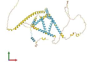 Protein Structure (PS) image for Family with Sequence Similarity 134, Member B (FAM134B) (AA 1-497) protein (His tag) (ABIN7553902)