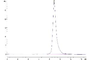 Size-exclusion chromatography-High Pressure Liquid Chromatography (SEC-HPLC) image for C-Type Lectin Domain Family 10, Member A (CLEC10A) (AA 57-304) protein (His tag) (ABIN7274360)