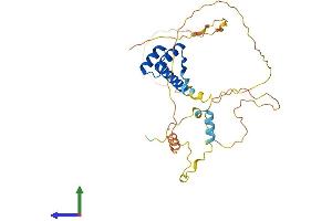 AlphaFold protein structure predicition of Human Recombinant PITX3 Protein, UniprotID O75364