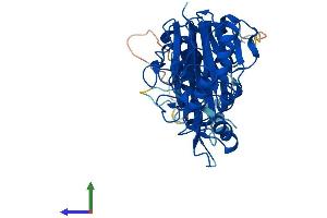 AlphaFold protein structure predicition of Human Recombinant LACC1 Protein, UniprotID Q8IV20