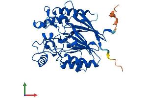 Protein Structure (PS) image for Chromosome 17 Open Reading Frame 48 (C17orf48) (AA 1-342) protein (His tag) (ABIN7551953)