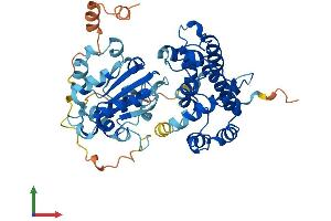 Protein Structure (PS) image for rho GTPase Activating Protein 1 (ARHGAP1) (AA 1-439) protein (His tag) (ABIN7551310)