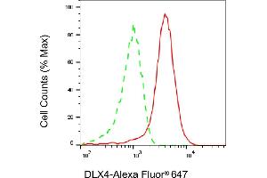 Flow cytometric analysis of DLX4 expression in HAP-1 cells using DLX4 antibody (ABIN7798358), 1:2,000). (Recombinant DLX4 抗体)