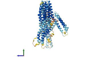 Protein Structure (PS) image for Catenin (Cadherin-Associated Protein), alpha 3 (CTNNA3) (AA 1-895) protein (His tag) (ABIN7557861)