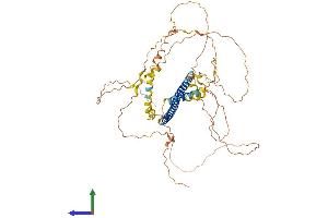 Protein Structure (PS) image for CAMP Responsive Element Binding Protein 3-Like 1 (CREB3L1) (AA 1-519) protein (His tag) (ABIN7565266)