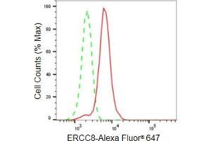 Flow cytometric analysis of ERCC8 expression in HeLa cells using ERCC8 antibody (ABIN7798541), 1:2,000). (Recombinant ERCC8 抗体)
