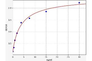 Typical standard curve (IgG2 ELISA 试剂盒)