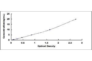 Fission 1 (FIS1) ELISA Kit