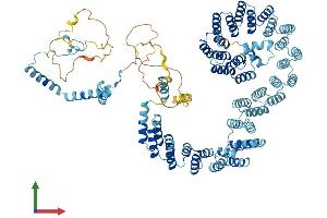 Protein Structure (PS) image for PRP6 Pre-mRNA Processing Factor 6 Homolog (PRPF6) (AA 1-941) protein (His tag) (ABIN7555064)