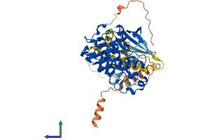 Protein Structure (PS) image for Cyclin-Dependent Kinase 18 (CDK18) (AA 1-451) protein (His tag) (ABIN7556895)