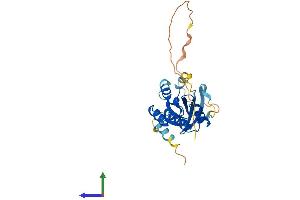 Protein Structure (PS) image for RAB26, Member RAS Oncogene Family (RAB26) (AA 1-260) protein (His tag) (ABIN7557402)