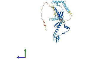 AlphaFold protein structure predicition of Human Recombinant RRS1 Protein, UniprotID Q15050