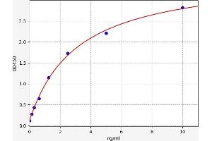 Typical standard curve