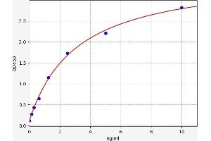 Typical standard curve (Monoamine Oxidase A ELISA 试剂盒)