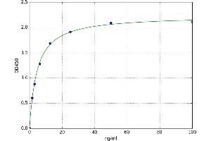 A typical standard curve