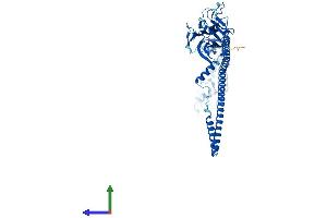Protein Structure (PS) image for Tripartite Motif Containing 72 (TRIM72) (AA 1-477) protein (His tag) (ABIN7563646)