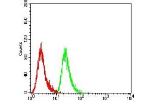 Flow Cytometry (FACS) image for anti-N-Myc Proto-Oncogene Protein (MYCN) (AA 337-464) antibody (ABIN7193585)