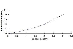 Typical standard curve (CAMKII gamma ELISA 试剂盒)