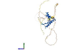 Protein Structure (PS) image for SRY (Sex Determining Region Y)-Box 2 (SOX2) (AA 1-317) protein (His tag) (ABIN7546295)
