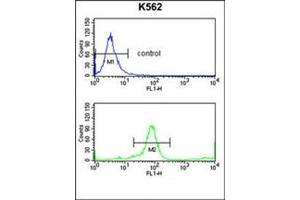 Flow Cytometry (FACS) image for anti-Killer Cell Immunoglobulin-Like Receptor, three Domains, Long Cytoplasmic Tail, 3 (KIR3DL3) (AA 138-167), (Middle Region) antibody (ABIN953083)
