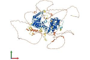 Protein Structure (PS) image for KAT8 Regulatory NSL Complex Subunit 3 (KANSL3) (AA 1-903) protein (His tag) (ABIN7561978)