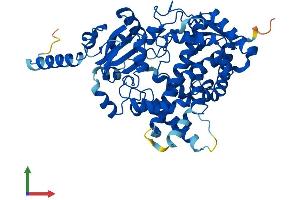 Protein Structure (PS) image for Cytochrome P450, Family 3, Subfamily A, Polypeptide 5 (CYP3A5) (AA 1-502) protein (His tag) (ABIN7546716)