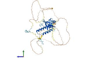 Protein Structure (PS) image for Nucleoporin 50kDa (NUP50) (AA 1-468) protein (His tag) (ABIN7550038)