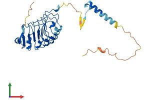 Protein Structure (PS) image for Leucine Rich Repeat Containing 18 (LRRC18) (AA 1-261) protein (His tag) (ABIN7549206)