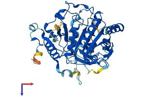 Chromosome 15 Open Reading Frame 58 (C15orf58) (AA 1-386) protein (His tag)