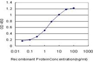 Detection limit for recombinant GST tagged CAPNS1 is approximately 0. (Calpain S1 抗体  (AA 172-260))