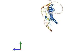 AlphaFold protein structure predicition of Mouse Recombinant Abi3 Protein, UniprotID Q8BYZ1 (ABI3 Protein (AA 1-367) (His tag))