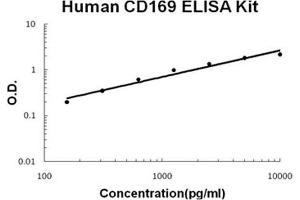Human CD169/SIGLEC-1 PicoKine ELISA Kit standard curve (Sialoadhesin/CD169 ELISA 试剂盒)