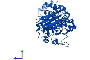 Protein Structure (PS) image for SEC14-Like 3 (SEC14L3) (AA 1-400) protein (His tag) (ABIN7551612)