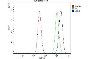 Flow Cytometry analysis of PC-3 cells using anti-K Cadherin/CDH6 antibody (ABIN7600136). (CDH6 抗体  (AA 153-424))